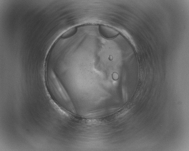 X0000068820903200605191830