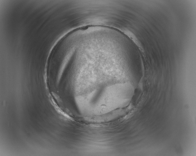 X0000068820904200605191830