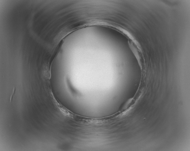 X0000068820905200605191830