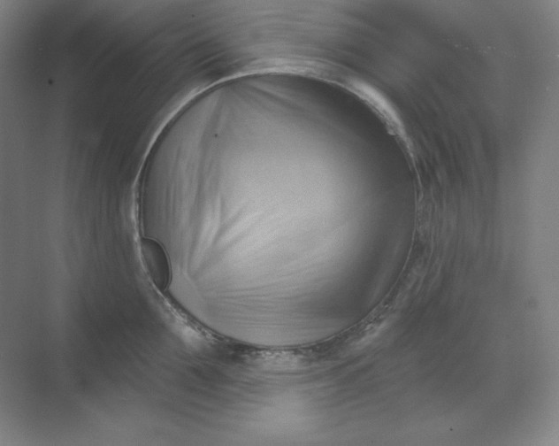 X0000068820907200605191830