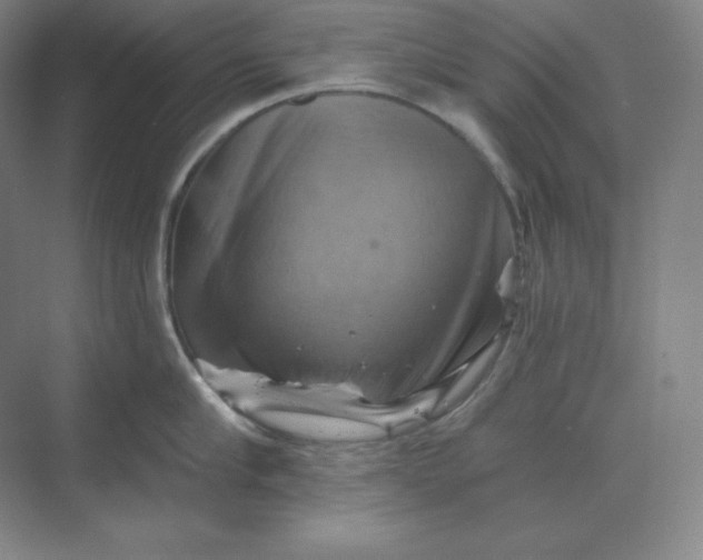 X0000068820910200605191830