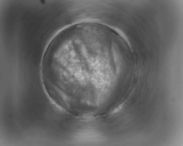 X0000068820911200605191830