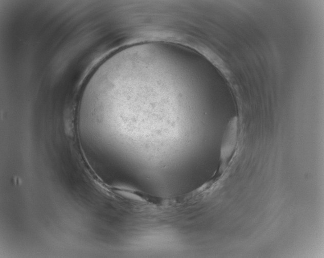 X0000068820912200605191830