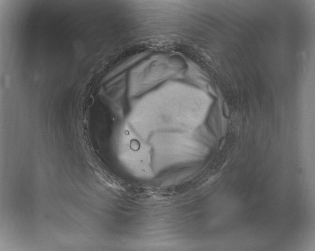 X0000068820913200605191829