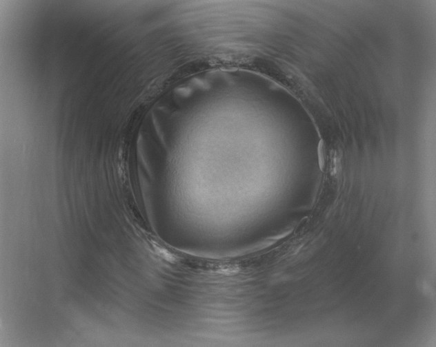 X0000068820915200605191829