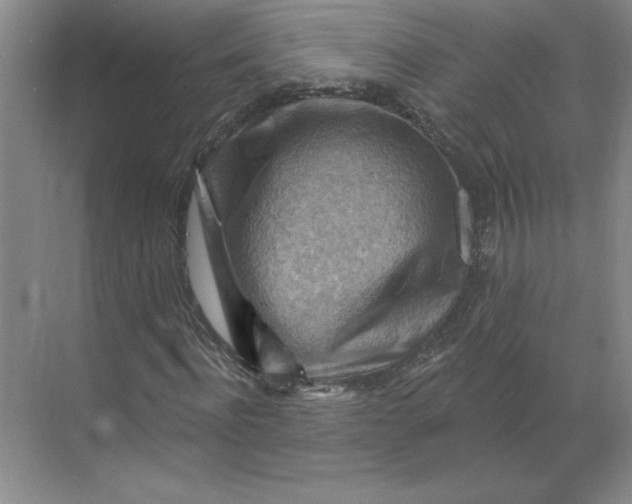 X0000068820916200605191829