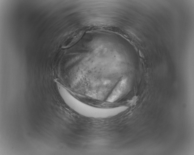 X0000068820917200605191829