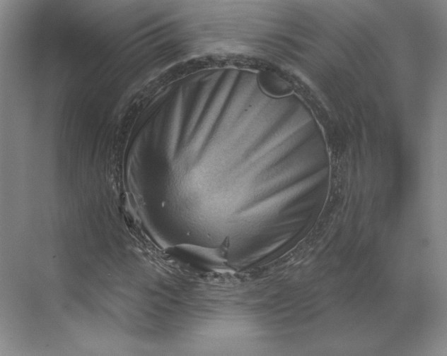 X0000068820919200605191829