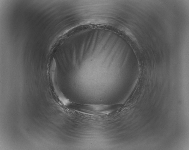 X0000068820920200605191829