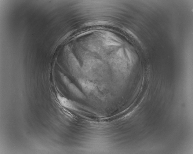 X0000068820921200605191829