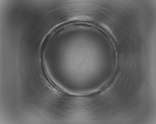 X0000068820923200605191829