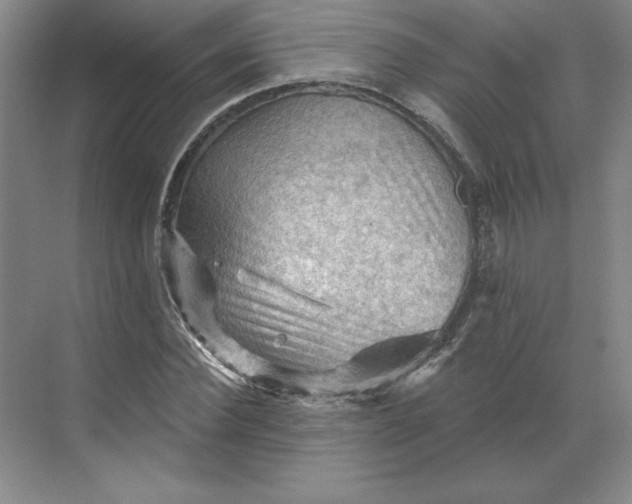 X0000068820924200605191829