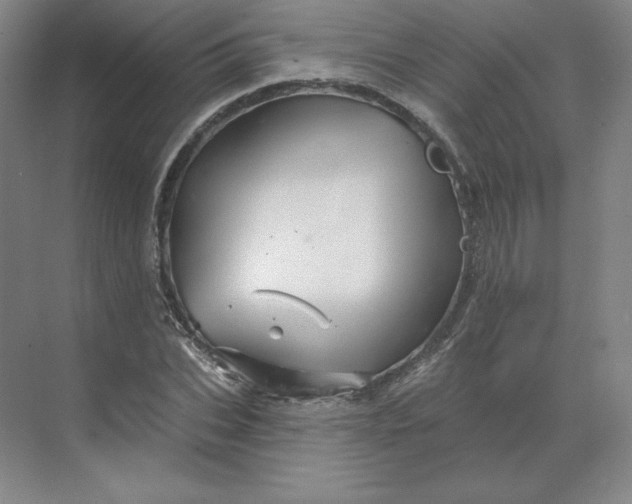 X0000068820927200605191829