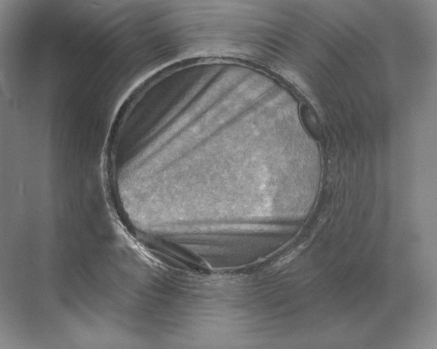 X0000068820928200605191829