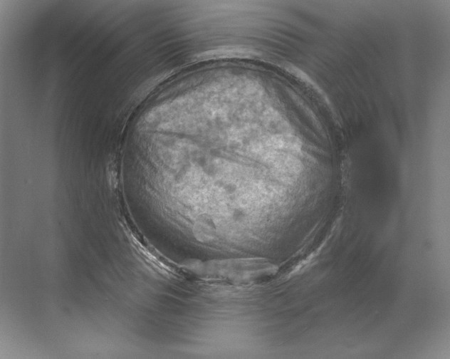 X0000068820929200605191829