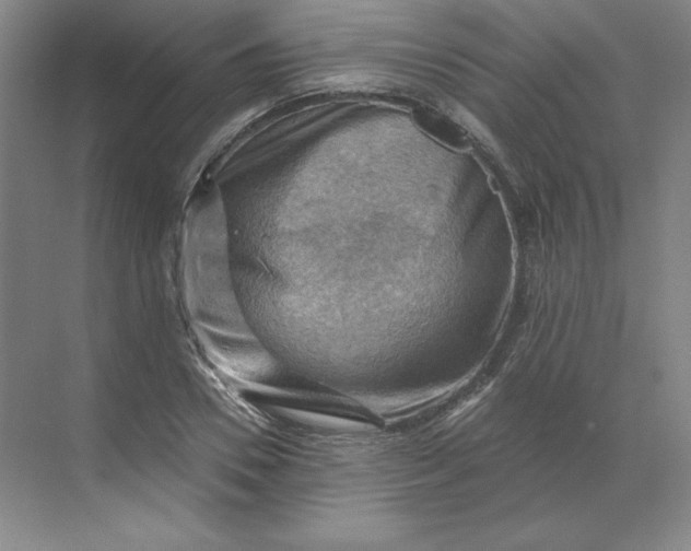 X0000068820930200605191829