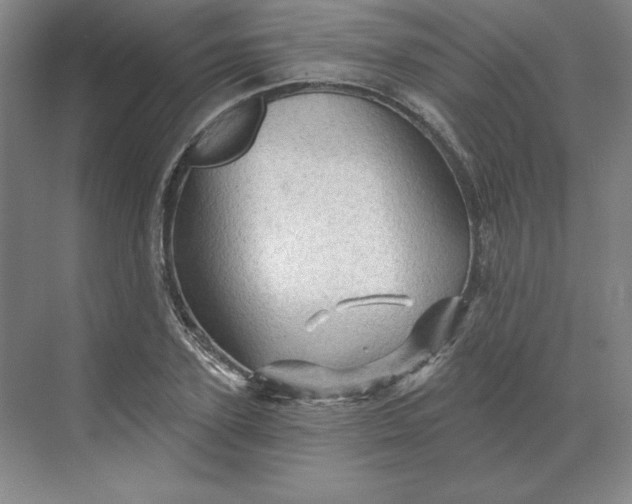 X0000068820931200605191829