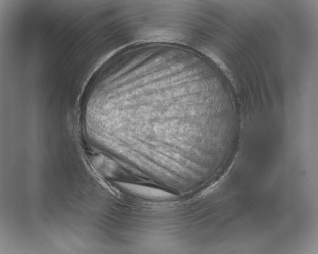 X0000068820933200605191829