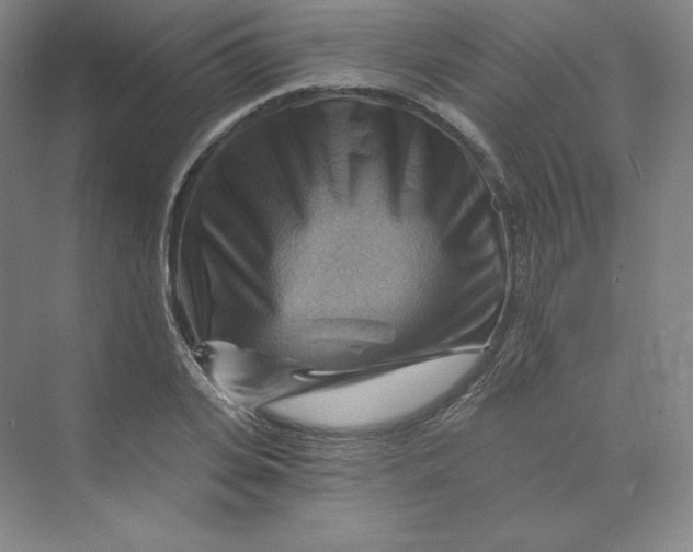 X0000068820935200605191829