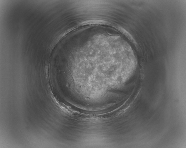 X0000068820937200605191829