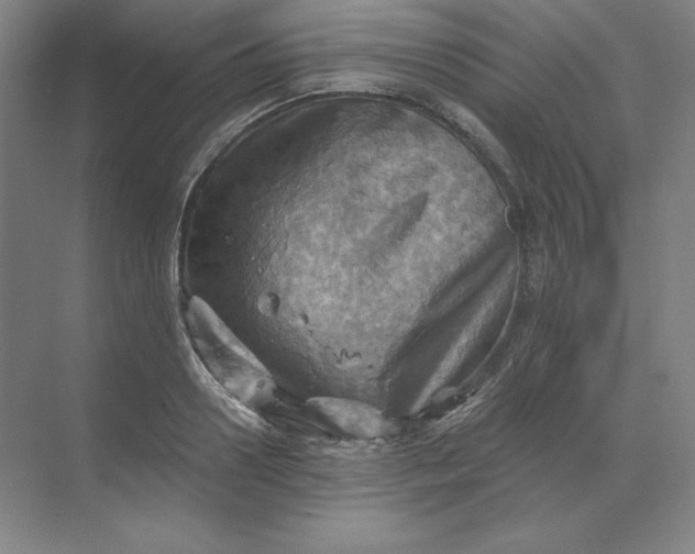 X0000068820938200605191829