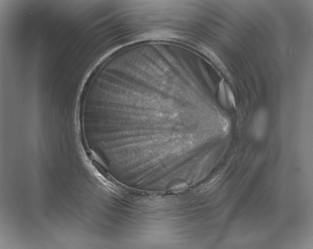 X0000068820939200605191829