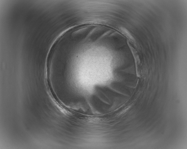 X0000068820940200605191829