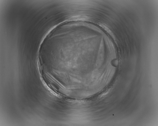 X0000068820941200605191829