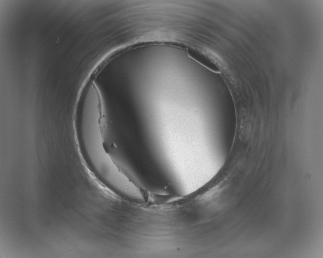 X0000068820942200605191829