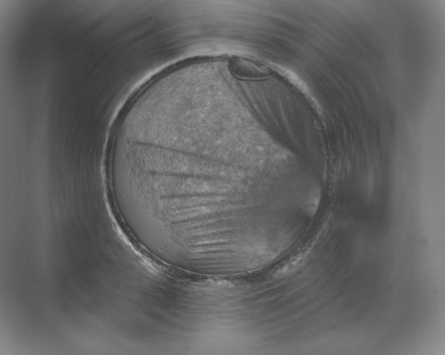 X0000068820943200605191829