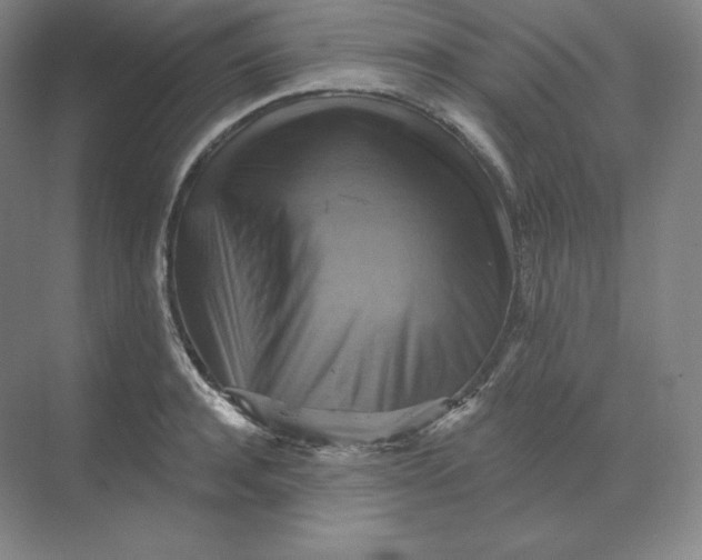 X0000068820944200605191829