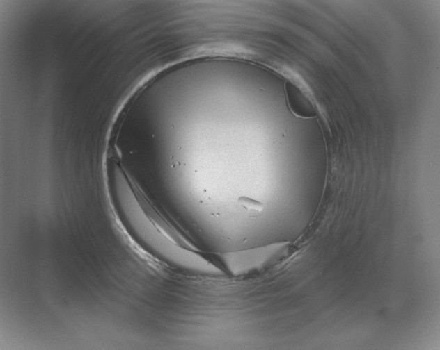 X0000068820947200605191829