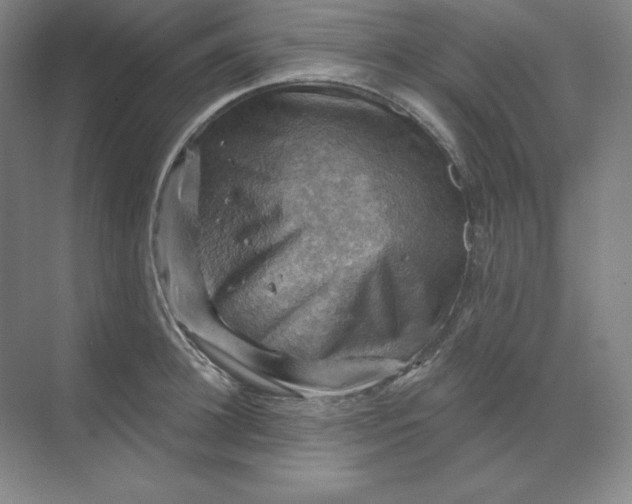 X0000068820948200605191829