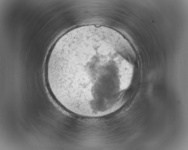 X0000068820949200605191829