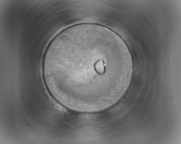 X0000068820950200605191829