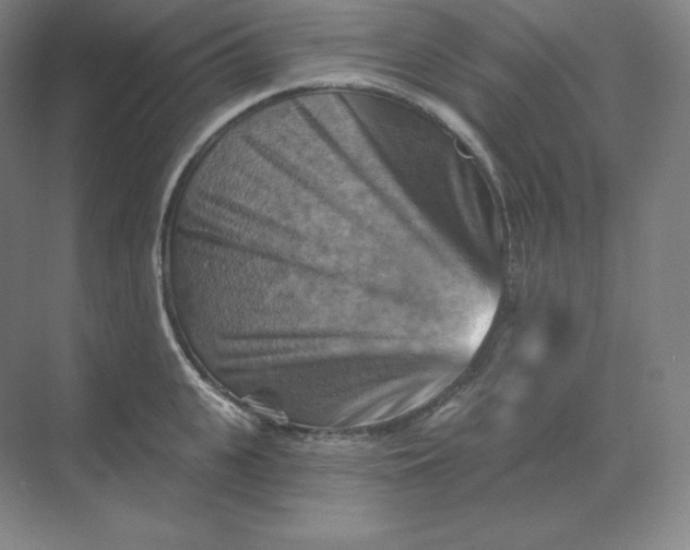 X0000068820951200605191829