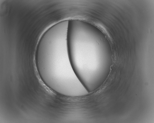 X0000068820952200605191830