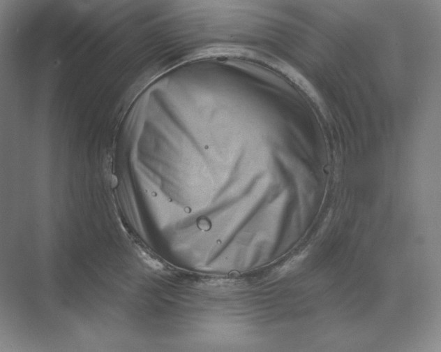 X0000068820953200605191830