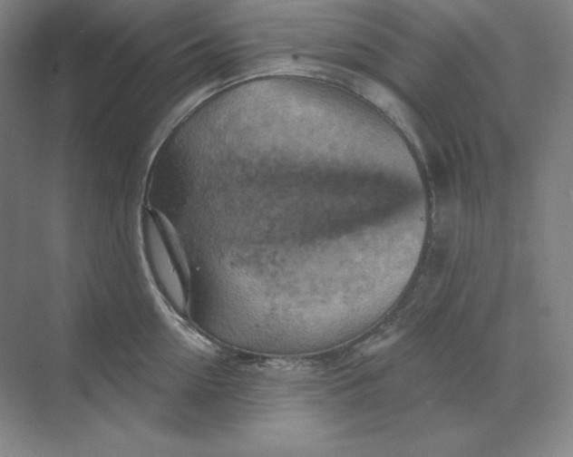 X0000068820954200605191830