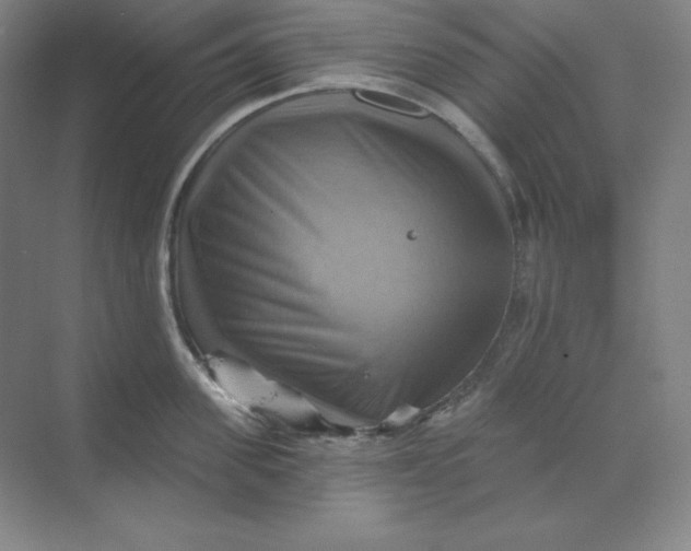 X0000068820955200605191830