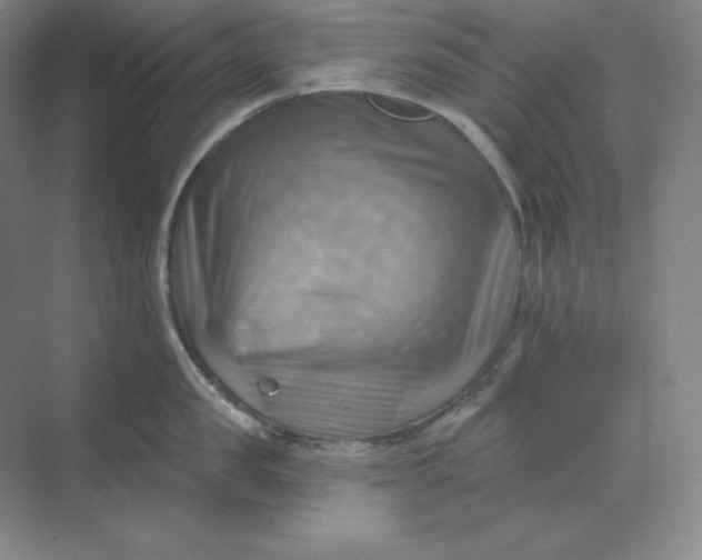 X0000068820957200605191830