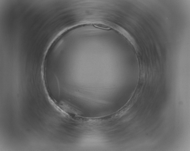 X0000068820958200605191830