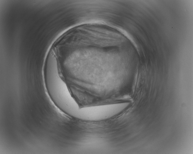 X0000068820959200605191830