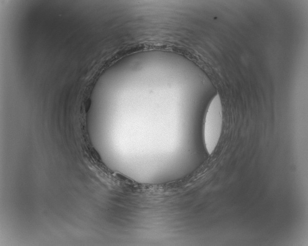 X0000068820961200605191829