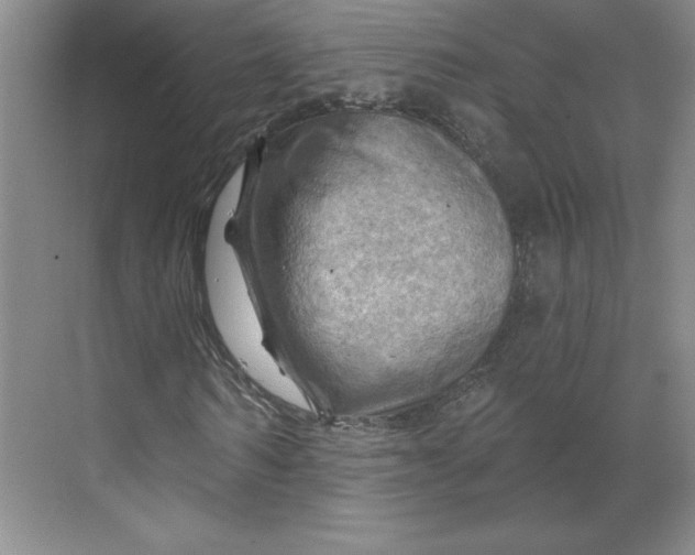 X0000068820962200605191829