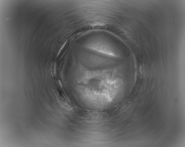 X0000068820963200605191829