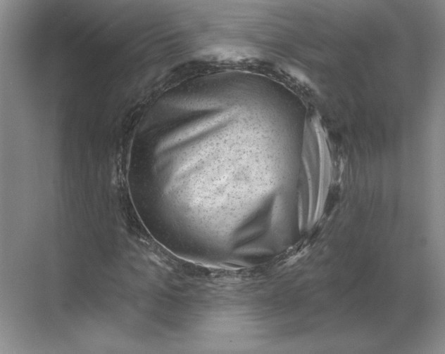 X0000068820965200605191829