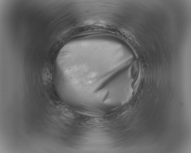 X0000068820966200605191829