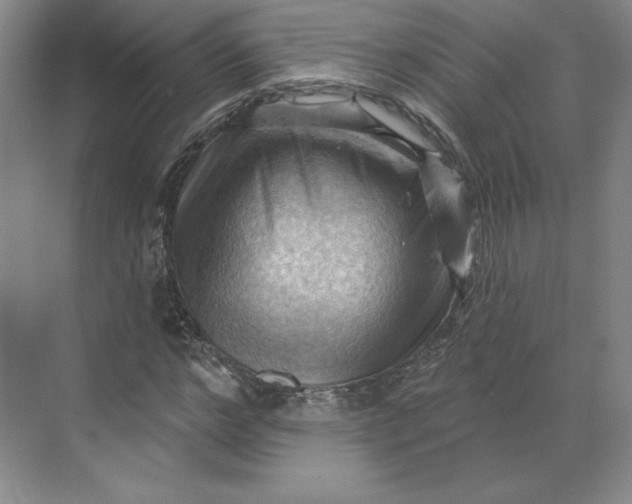 X0000068820968200605191829