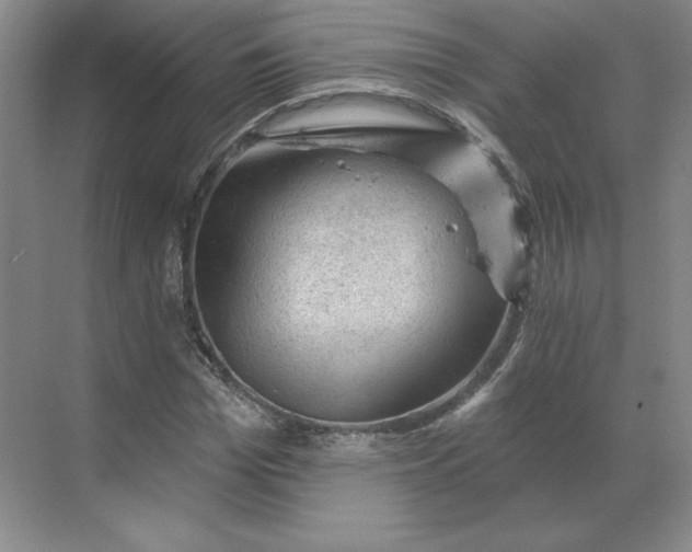 X0000068820969200605191829